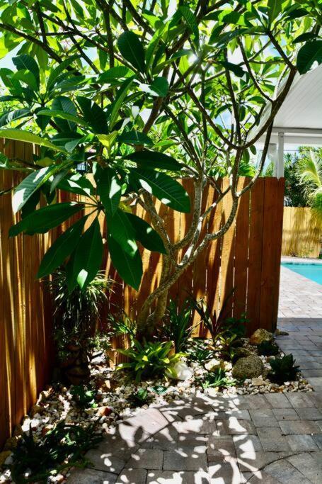 Tropical Retreat Near Beaches, Cruise Terminals Merritt Island Екстериор снимка